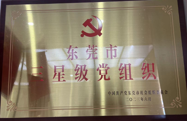 东莞市三星级党组织